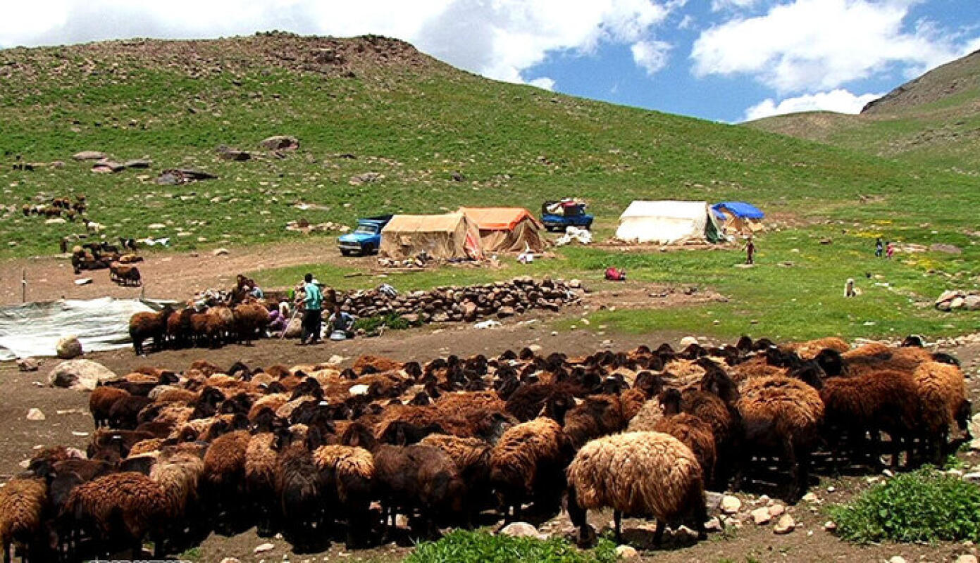 انسداد جاده چالوس به خاطر کوچ عشایر